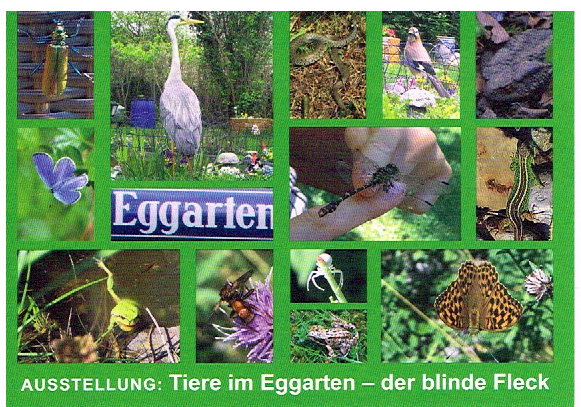Finissage der Ausstellung: Tiere im Eggarten – der blinde Fleck